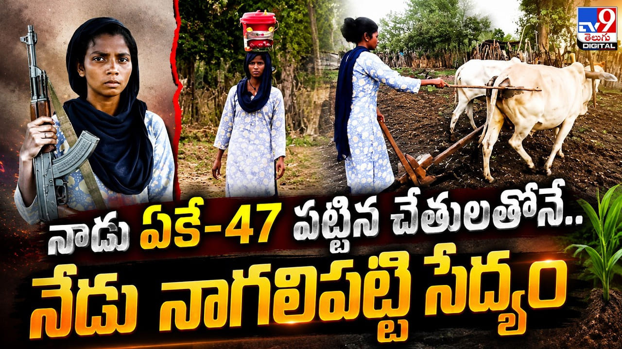 నాడు ఏకే-47 పట్టిన చేతులతోనే.. నేడు నాగలిపట్టి సేద్యం