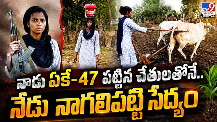 నాడు ఏకే-47 పట్టిన చేతులతోనే.. నేడు నాగలిపట్టి సేద్యం నాడు ఏకే-47 పట్టిన చేతులతోనే.. నేడు నాగలిపట్టి సేద్యం