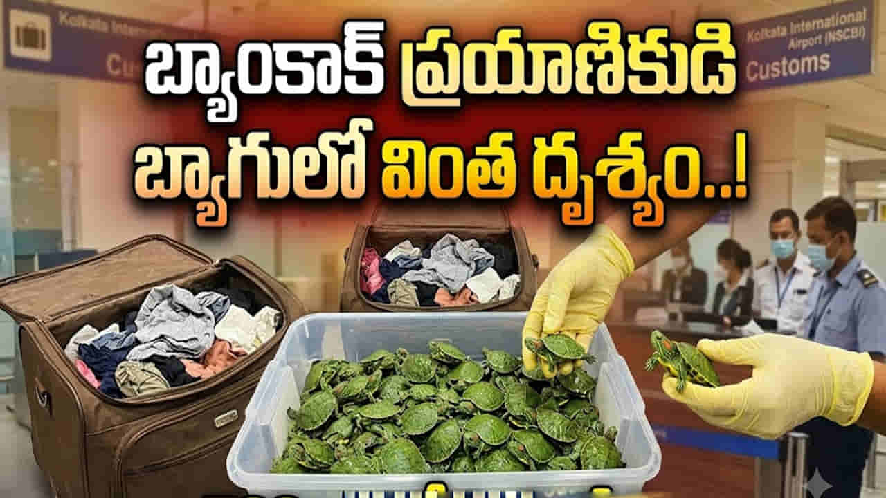 ఎయిర్పోర్ట్లో కలకలం.. బ్యాంకాక్ ప్రయాణికుడి బ్యాగులో కదులుతూ కనిపించిన వింత దృశ్యం..! స్కాన్ చేయగా..