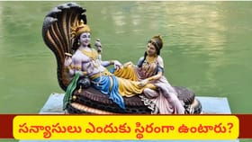 చాతుర్మాస్యం అంటే ఏమిటి? విష్ణు యోగనిద్ర వెనుక రహస్యం తెలుసా..?