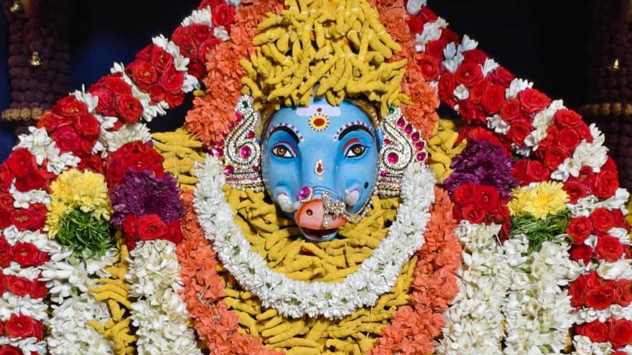 ఆలయ ప్రాంగణమంతా నిరంతర దేవీ నామస్మరణలతో మారుమోగింది. క్షేత్రానికి విచ్చేసిన భక్త కోటికి ఎలాంటి అసౌకర్యం కలగకుండా శాంతిధాం నిర్వాహకులు దర్శన ఏర్పాట్లను పర్యవేక్షించారు. దివ్య దర్శనం అనంతరం భక్తులు తీర్ధప్రసాదాలు స్వీకరించి ఆధ్యాత్మిక ఆనందాన్ని పొందారు. 'వారాహీ గుప్త నవరాత్రులు' విశేషలు మీకు తెలుసా ..ఆషాఢ మాసంలో వచ్చే ఆషాఢ శుద్ధ పాడ్యమి నుండి నవమి వరకు తొమ్మిది రోజుల పాటు ఈ శక్తివంతమైన 'వారాహీ గుప్త నవరాత్రులు' అత్యంత నియమనిష్టలతో జరుగుతాయి.
