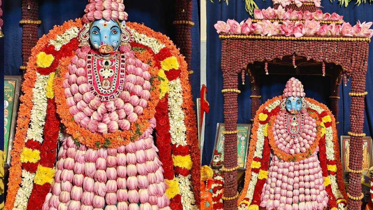 లలితా పరాభట్టారిక దేవి సర్వ సైన్యాధ్యక్షురాలిగా, దండిని దేవిగా, అష్టమాతృకలలో ఒకరిగా వెలుగుందుతున్న వారాహీ అమ్మవారి ప్రాశస్త్యం ఆషాఢంలో మరీ విశేషమైనది. శారదీయ దసరా నవరాత్రుల్లా ఆడంబరంగా కాకుండా, ఆషాఢ నవరాత్రులను 'గుప్త నవరాత్రులు'గా వ్యవహరిస్తారు. ఈ కాలంలో చేసే పూజ, జపం లేదా ఆధ్యాత్మిక సాధనను నిశ్శబ్దంగా, ఏకాంతంగా ఆచరిస్తే అనంతమైన సుఫలితాలు దక్కుతాయని వేదపండితులు పేర్కొంటున్నారు. వరాహ ముఖంతో, అభయ వరద హస్తాలతో, హల (నాగలి), ముసల (రోకలి) ధరించి దర్శనమిచ్చే ఈ తల్లి, భక్తుల అజ్ఞానాన్ని నాశనం చేసేందుకు ఉగ్ర, ప్రసన్న స్వరూపిణిగా వెలిసింది.