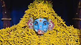 చూడనీకి రెండు కళ్లు చాలవు.. పసుపు కొమ్ముల రూపంలో జగజ్జనని