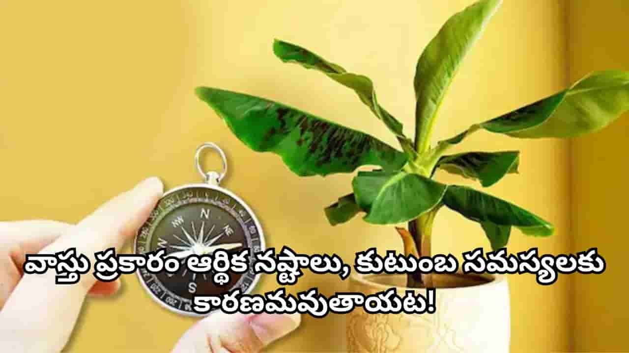 Vastu Tips: ఇంటి ప్రధాన ద్వారం ముందు ఈ 3 చెట్లు ఉంటే వాస్తు ప్రకారం అశుభం.. ఎందుకో తెలుసా?