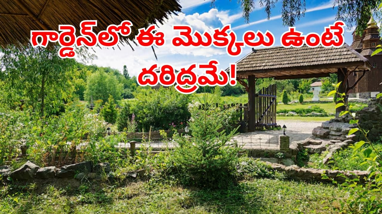 Vastu Plants: పొరపాటున కూడా ఈ మొక్కలను ఇంటి ఆవరణలో పెంచవద్దు.. ఉంటే దరిద్రం పట్టుకున్నట్లే