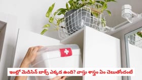ఇంట్లో మెడిసిన్ బాక్స్ ఎక్కడ ఉంది? వాస్తు శాస్త్రం ఏం చెబుతోందంటే
