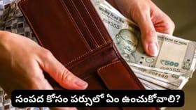 మీ పర్సులో ఈ వస్తువులు ఉన్నాయా? డబ్బు నిలవకపోవడానికి వాస్తు..