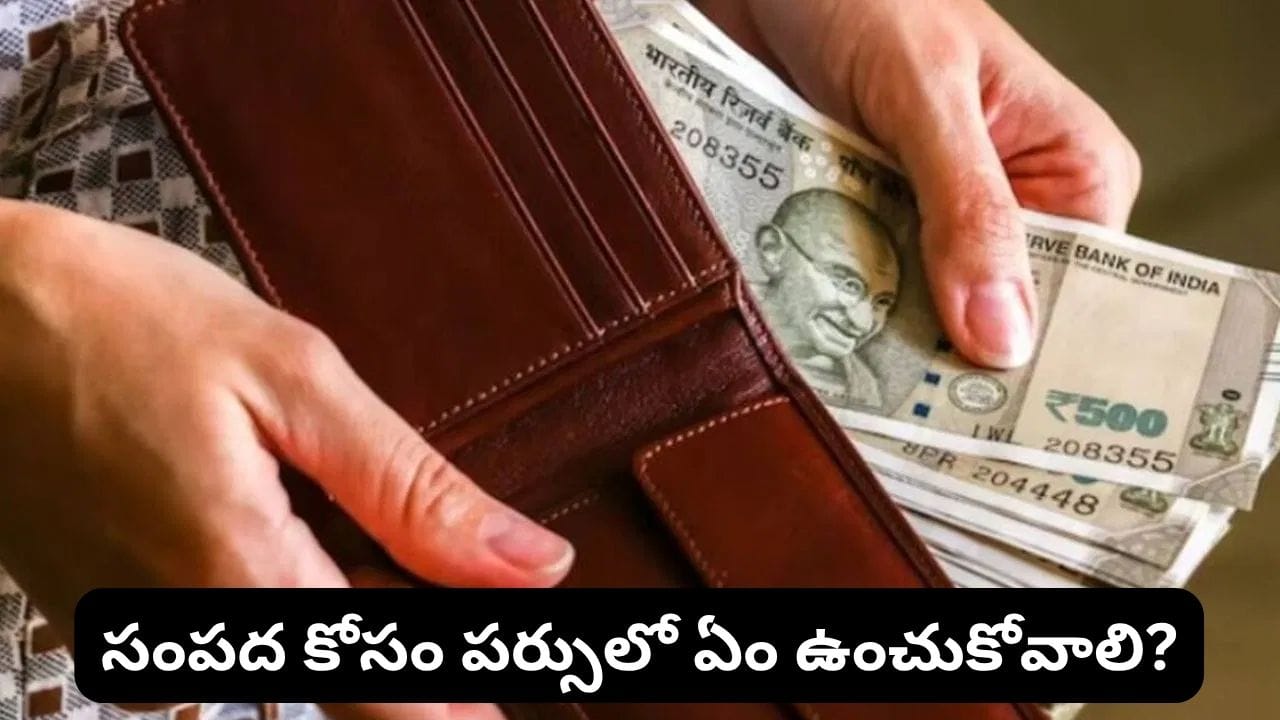 Vastu Tips: మీ పర్సులో ఈ వస్తువులు ఉన్నాయా? డబ్బు నిలవకపోవడానికి వాస్తు ప్రకారం ఇవే కారణాలా?