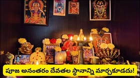 పూజా మందిరంలో ఈ వాస్తు తప్పులు చేస్తున్నారా? దేవతల విగ్రహాల విషయం