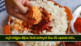 గుండె ఆరోగ్యానికి మేలు చేసే ఎల్లిపాయ కారం..