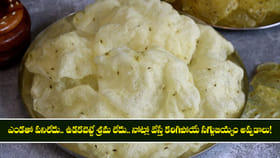 ఎండతో పనిలేదు! నోట్లో వేస్తే కరిగిపోయే సగ్గుబియ్యం అప్పడాలు