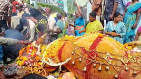 ఎద్దుకు ఘనంగా అంత్యక్రియలు.. కన్నీరు పెట్టిస్తున్న సంఘటన