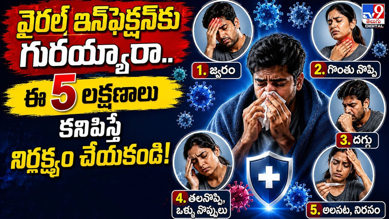 వైరల్ ఇన్ఫెక్షన్కు గురయ్యారా.. ఈ 5 లక్షణాలు కనిపిస్తే నిర్లక్ష్యం చేయకండి! వైరల్ ఇన్ఫెక్షన్కు గురయ్యారా.. ఈ 5 లక్షణాలు కనిపిస్తే నిర్లక్ష్యం చేయకండి!
