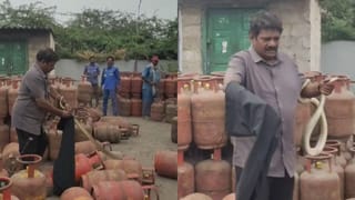 Watch Video: సిలిండర్‌ తీద్దామని వెళ్లిన డెలివరీ బాయ్.. కనిపించిది చూసి పరుగో పరుగు!