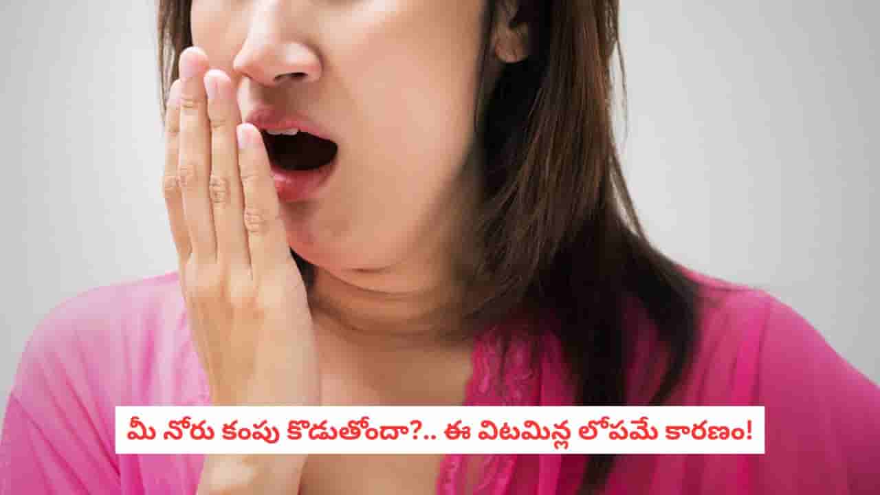 Oral Hygiene: బ్రష్ చేయకపోవడమే కారణం కాదు.. మీ శరీరంలో ఆ విటమిన్లు తగ్గినా నోరు కంపు కొడుతుంది!