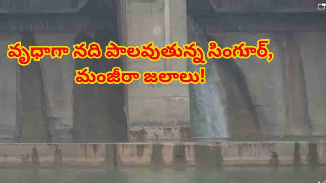 అధికారుల నిర్లక్ష్యం.. వృధాగా నది పాలవుతున్న సింగూర్, మంజీరా జలాలు!