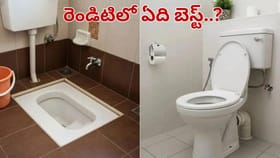 వెస్ట్రన్ టాయిలెట్ vs ఇండియన్ టాయిలెట్: ఆరోగ్య పరంగా ఏది మంచిది?
