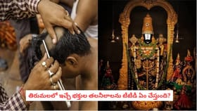 తిరుమలలో ఇచ్చే భక్తుల తలనీలాలను టీటీడీ ఏం చేస్తుంది?