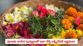పూజకు వాడిన పువ్వులతో ఇలా చేస్తే లక్ష్మీదేవికి ఇష్టమట!