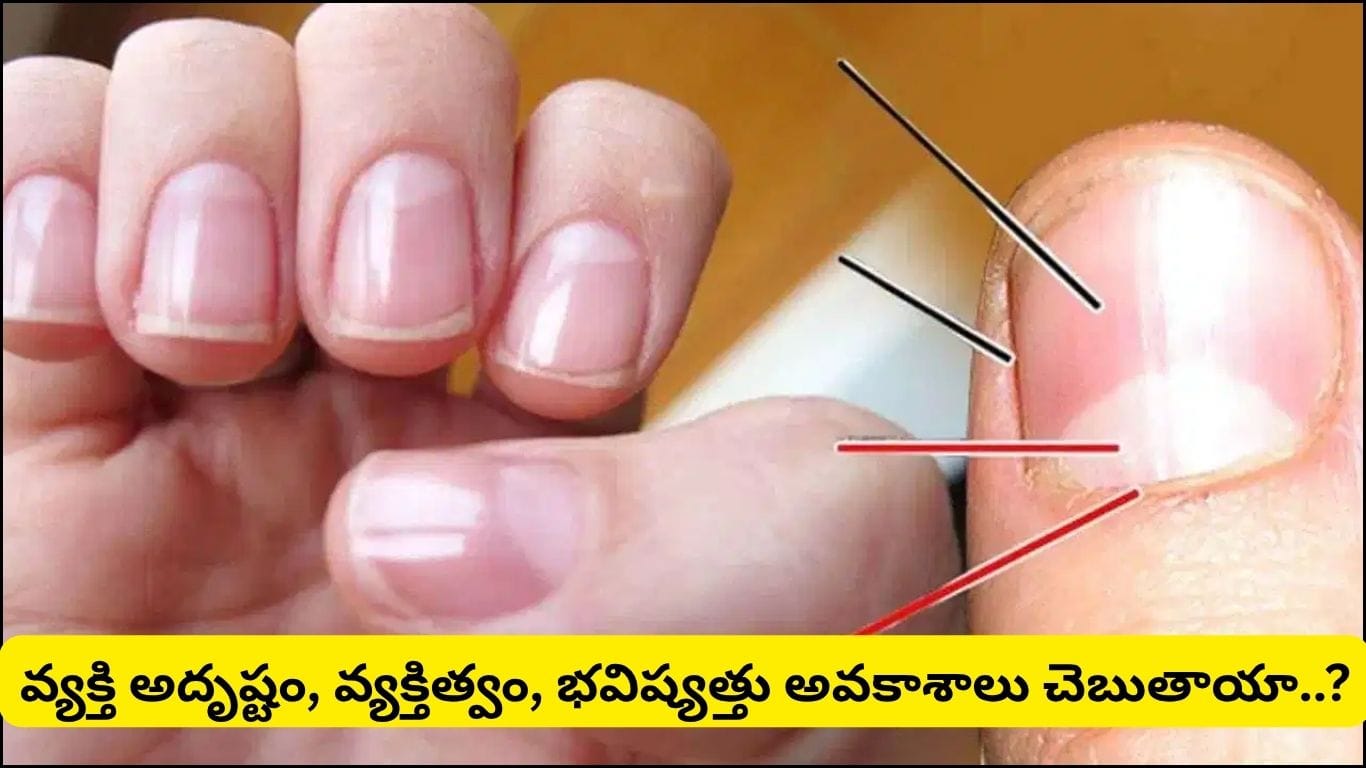 గోళ్లపై కనిపించే తెల్లటి నెలవంక ఏం సూచిస్తుంది? ఏ వేలిపై ఉంటే ఎలాంటి అదృష్టం కలుగుతుందో తెలుసా!