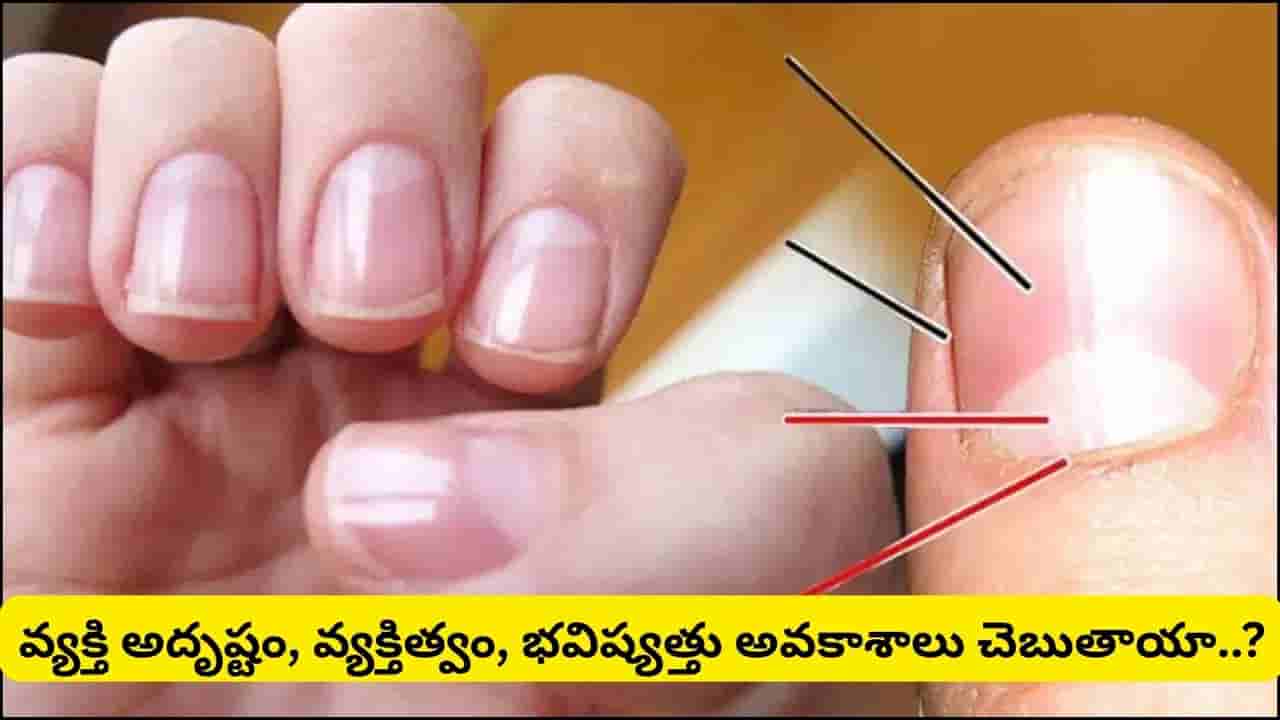 గోళ్లపై కనిపించే తెల్లటి నెలవంక ఏం సూచిస్తుంది? ఏ వేలిపై ఉంటే ఎలాంటి అదృష్టం కలుగుతుందో తెలుసా!