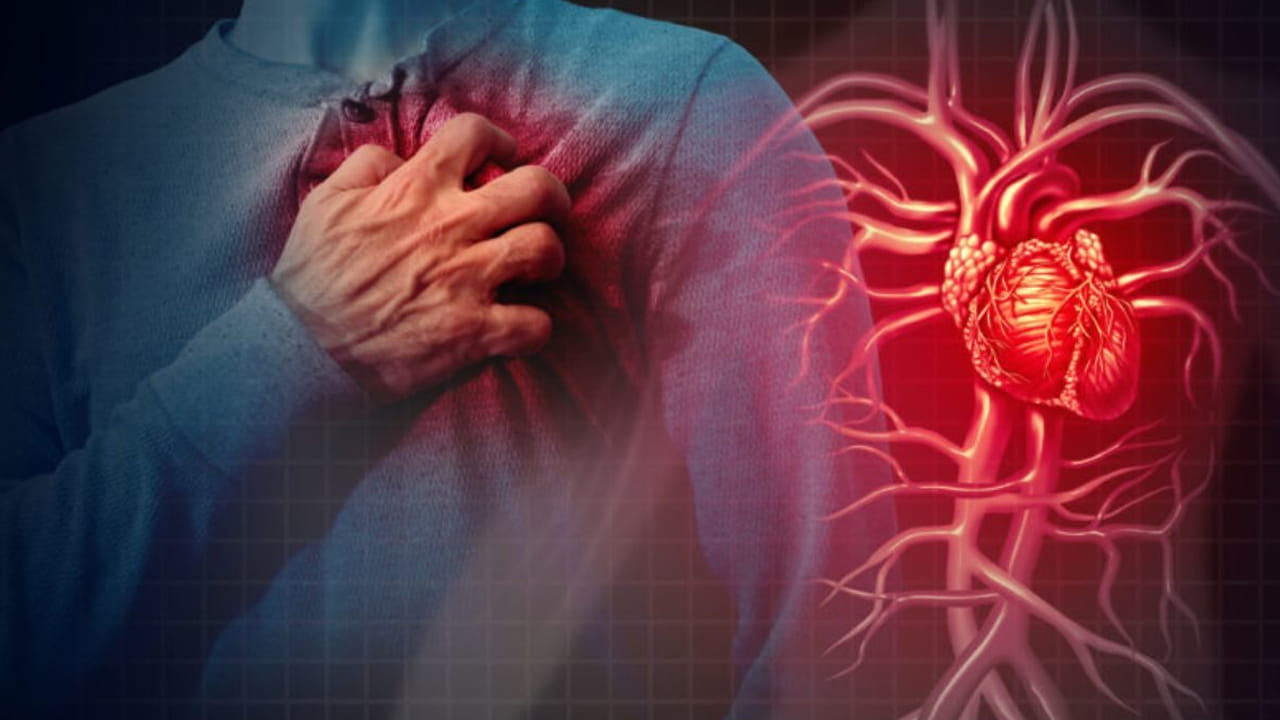 Heart Health: యువతలో గుండెపోటుకు అసలు కారణాలు ఏంటీ..? డాక్టర్లు చెప్పే నిజాలు తెలిస్తే మీ మైండ్ బ్లాంకే..