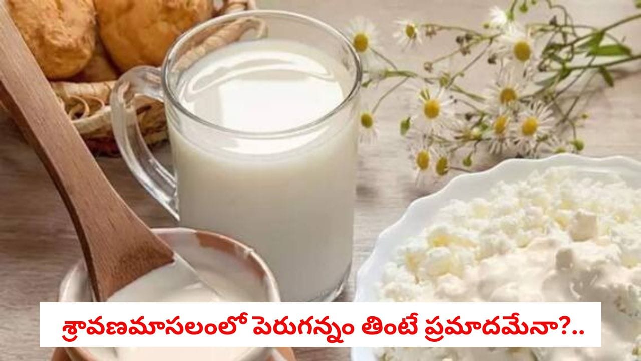 Sravanamasam Restrictions: శ్రావణమాసంలో పెరుగన్నం, మజ్జిగ తినకూడదా?.. శాస్త్రాలు, ఆయుర్వేదం హెచ్చరిస్తున్న కారణాలు ఇవే!
