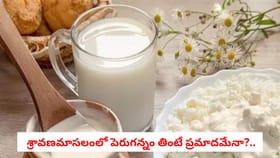 శ్రావణమాసలంలో పెరుగన్నం తింటే ప్రమాదమేనా?..