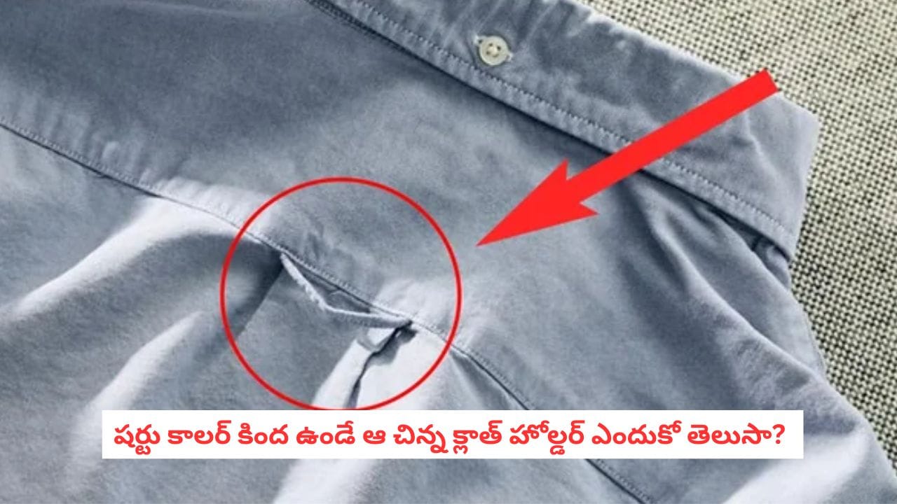 Unknown Facts: మీ షర్టు వెనుక భాగంలో ఉండే ఆ చిన్న లూప్ దేనికో తెలుసా?..