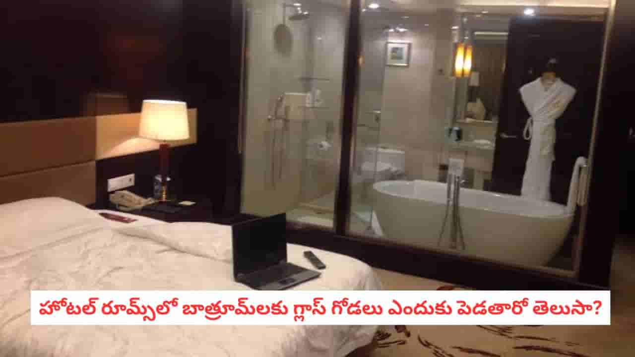 Hidden Facts: కస్టమర్లను ఆకట్టుకునే ట్రిక్.. హోటల్ గదుల్లో అద్దాల బాత్రూమ్ల వెనుక ఉన్న మైండ్ బ్లోయింగ్ లాజిక్స్!