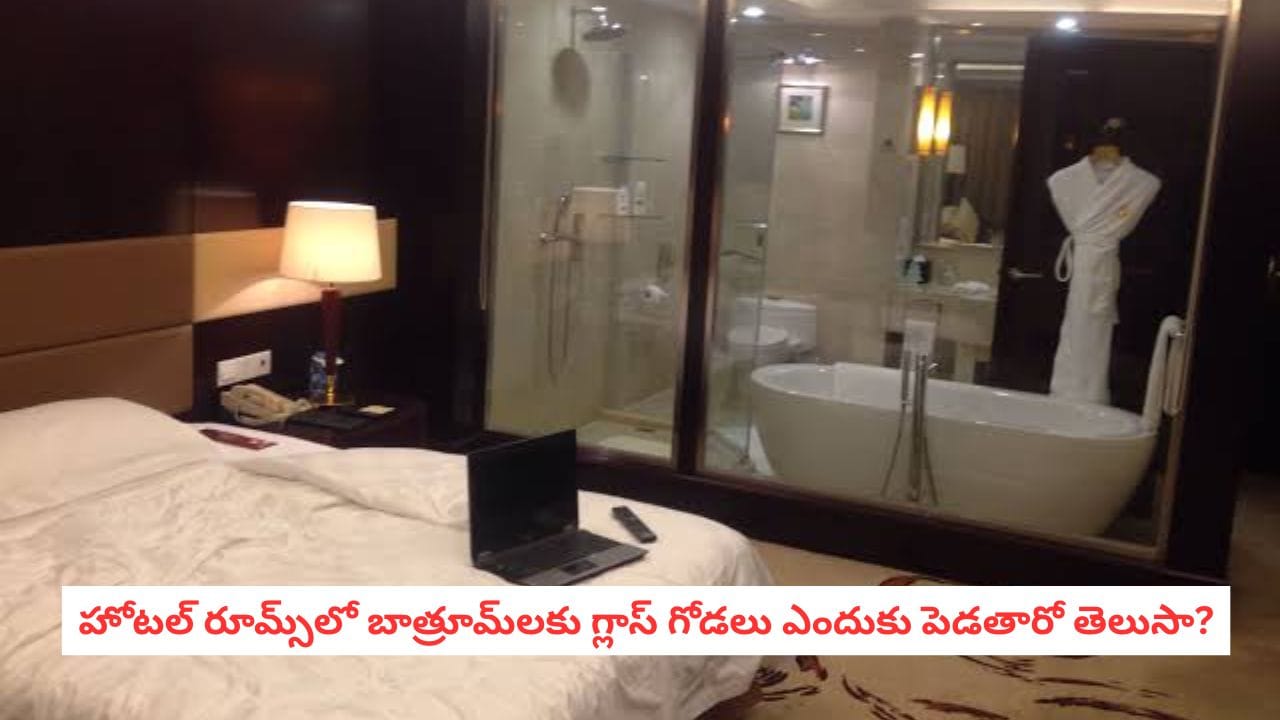 Hidden Facts: కస్టమర్లను ఆకట్టుకునే ట్రిక్.. హోటల్ గదుల్లో అద్దాల బాత్రూమ్ల వెనుక ఉన్న మైండ్ బ్లోయింగ్ లాజిక్స్!