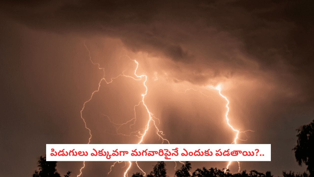 Thunderbolt Logic: పిడుగులు ఎక్కువగా మగవారిపైనే ఎందుకు పడతాయి?.. 80% పురుషులే టార్గెట్ అవ్వడం వెనుక కారణమిదే..