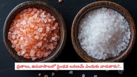 వ్రతాలు, ఉపవాసాలలో సైంధవ లవణమే ఎందుకు వాడతారు?..