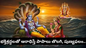 యోగిని ఏకాదశి నాడు తులసికి ఈ చిన్న పూజ చేస్తే విష్ణు-లక్ష్మీ..