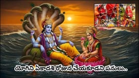 రేపే యోగిని ఏకాదశి ఈ 4 తప్పులు చేస్తే వ్రతం భంగమే.. విష్ణుమూర్తి