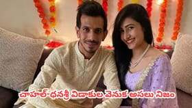 చాహల్-ధనశ్రీ విడాకుల వెనుక అసలు నిజం ఇదే