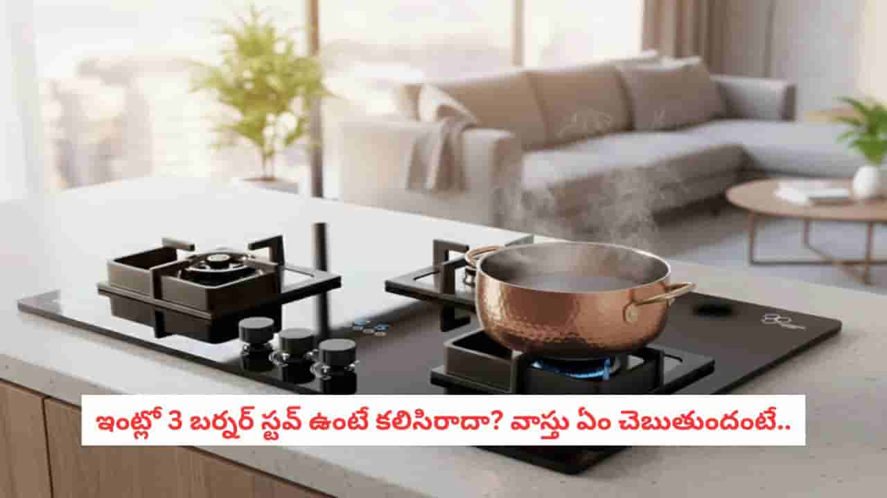 Vastu Tips: 3 బర్నర్ గ్యాస్ స్టవ్ వాడుతున్నారా? ఇంట్లో పేదరికం వస్తుందనే మాట నిజమేనా?