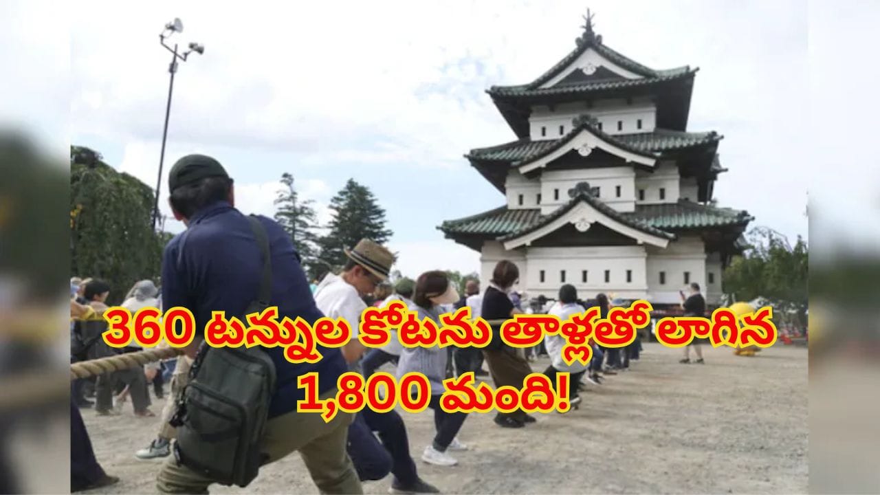 ఓరీ దేవుడో.. 360 టన్నుల పురాతన కోటను 1,800 ఏకమై లాగినప్పుడు.. వీడియో చూశారంటే..