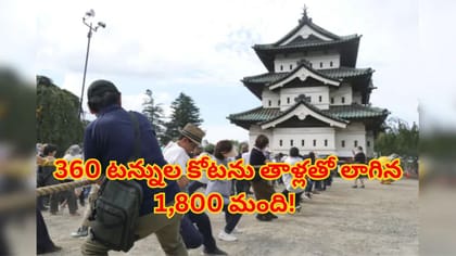 ఓరీ దేవుడో.. 360 టన్నుల పురాతన కోటను 1,800 ఏకమై లాగినప్పుడు!