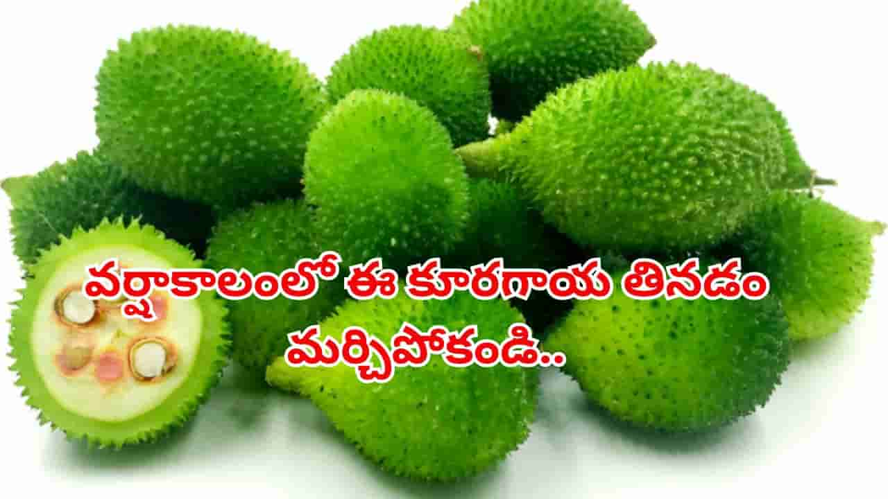 Monsoon Vegetable: వర్షాకాలంలో లభించే ఈ కూరగాయ తింటే ఏడాదంతా ఆ పవర్.. మిస్ చేయకండి!