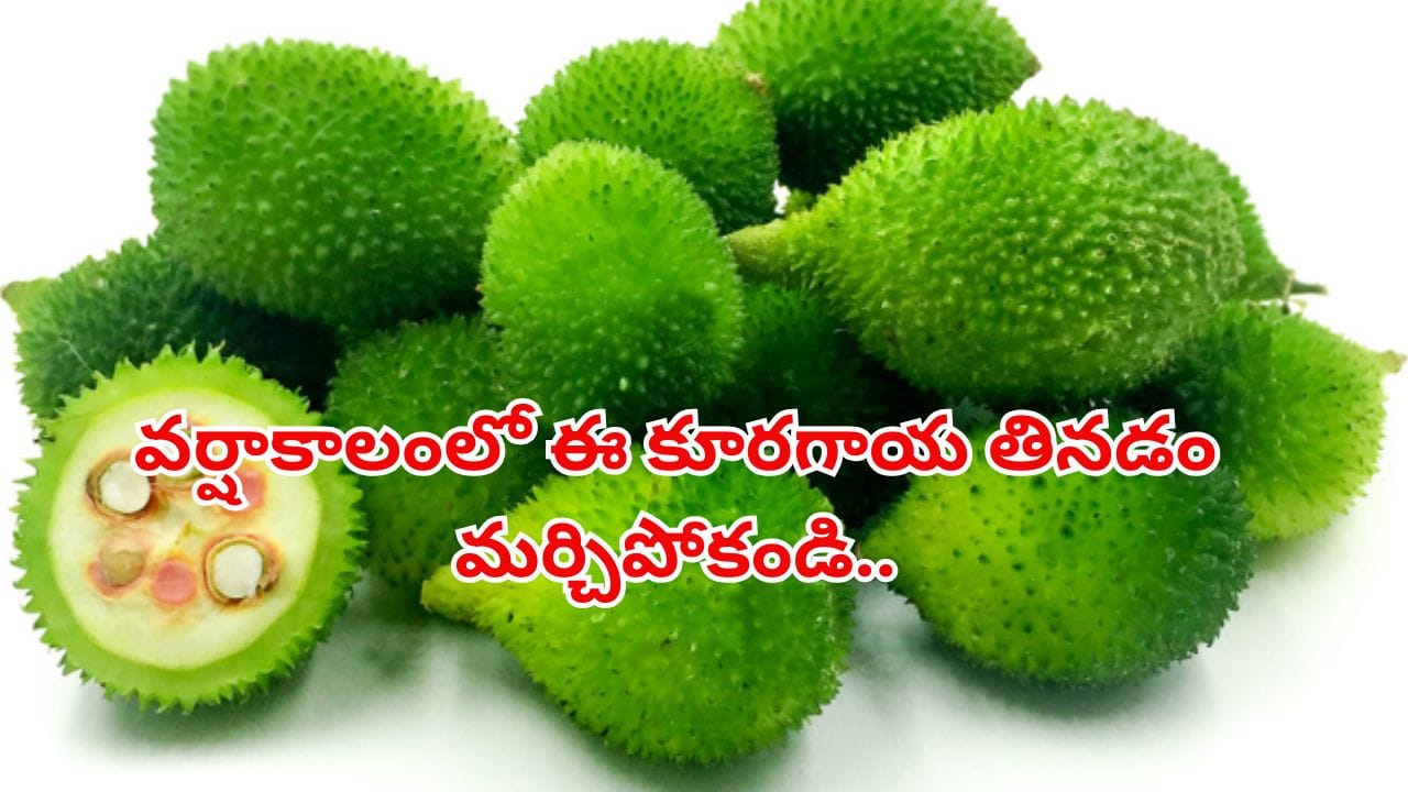 Monsoon Vegetable: వర్షాకాలంలో లభించే ఈ కూరగాయ తింటే ఏడాదంతా ఆ పవర్.. మిస్ చేయకండి!