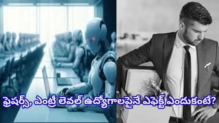 AI Jobs: ఏఐతో ఉద్యోగాలు పెరుగుతున్నా.. ఫ్రెషర్లకు మాత్రం కష్టకాలం! భారత్‌లో మారుతున్న జాబ్ మార్కెట్
