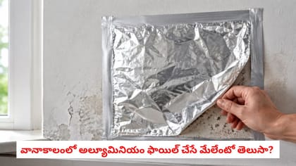 వానాకాలంలో అల్యూమినియం ఫాయిల్ చేసే మేలేంటో తెలుసా?