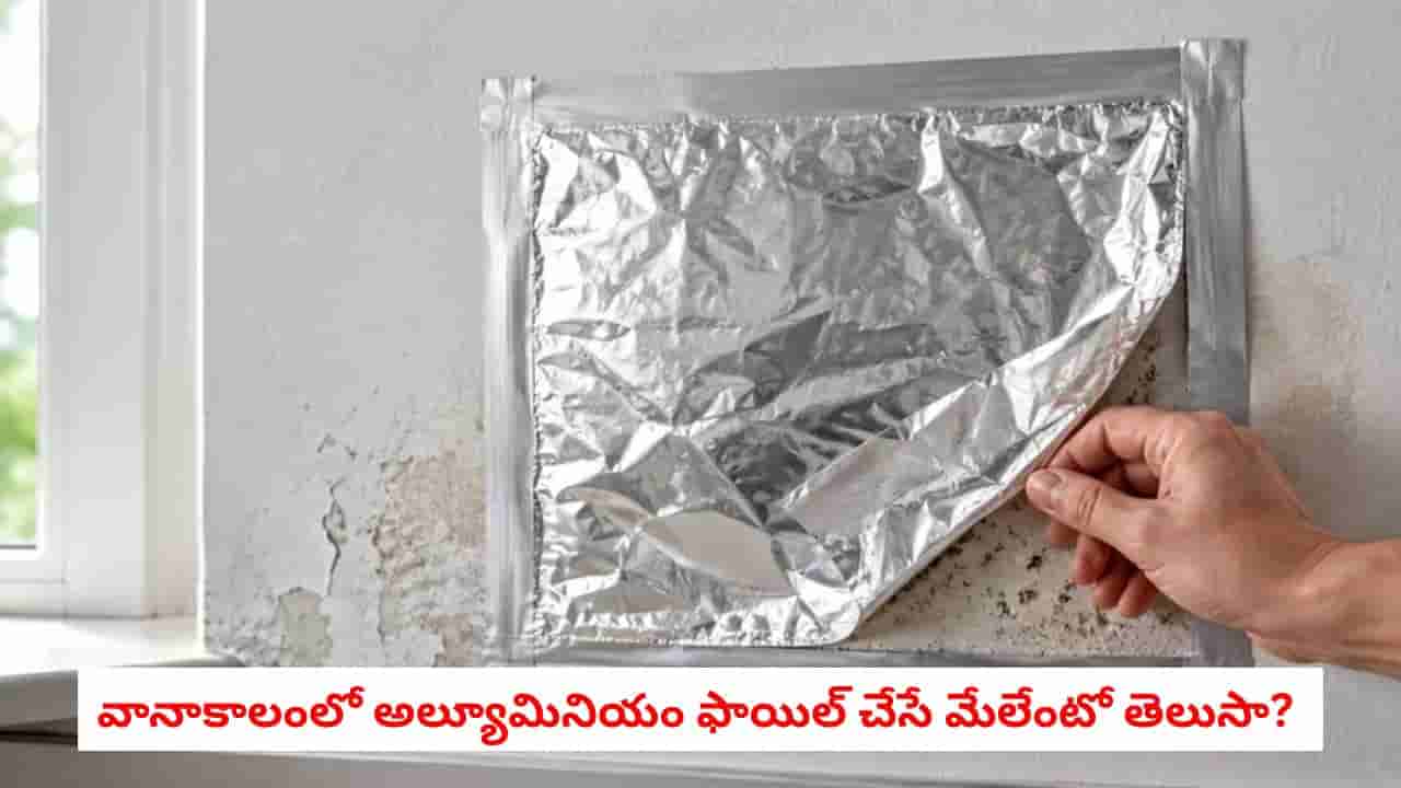 Aluminum Foil: వానలకు గోడలపై పెచ్చులూడి బూజు పడుతోందా?.. అల్యూమినియం ఫాయిల్ కనిపిస్తే వదలకండి..