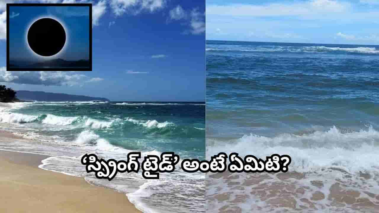 అమావాస్య రోజులలో సముద్రపు అలలు ఎందుకు ఉధృతంగా ఎగిసిపడతాయి.? అసలు కారణం ఇదే