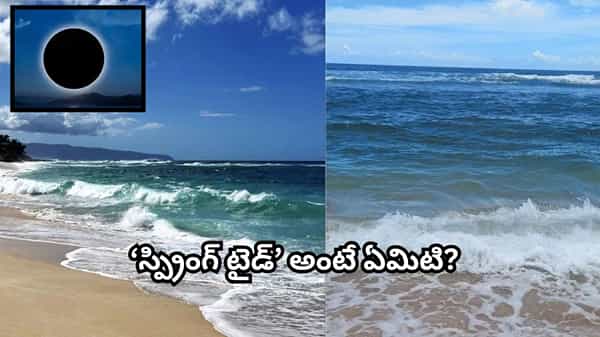అమావాస్య రోజులలో సముద్రపు అలలు ఎందుకు ఉధృతంగా ఎగిసిపడతాయి.? అసలు కారణం ఇదే
