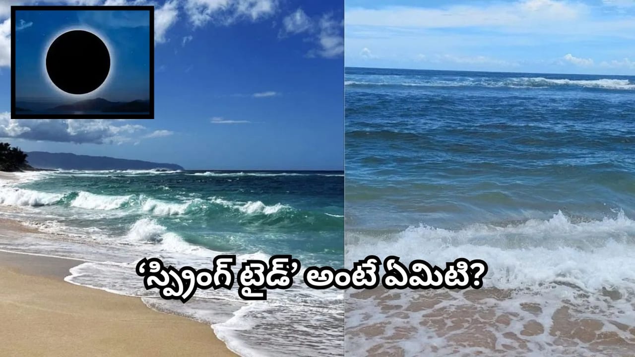 అమావాస్య రోజులలో సముద్రపు అలలు ఎందుకు ఉధృతంగా ఎగిసిపడతాయి.? అసలు కారణం ఇదే