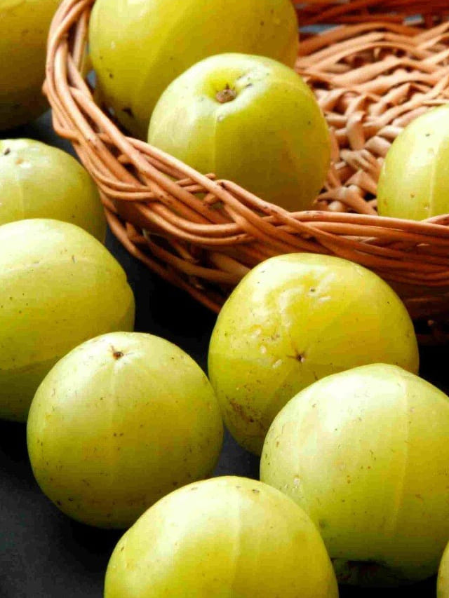 ఉసిరి నిజంగానే డయాబెటీస్‌ను తగ్గిస్తుందా? వాస్తవమేంటి?