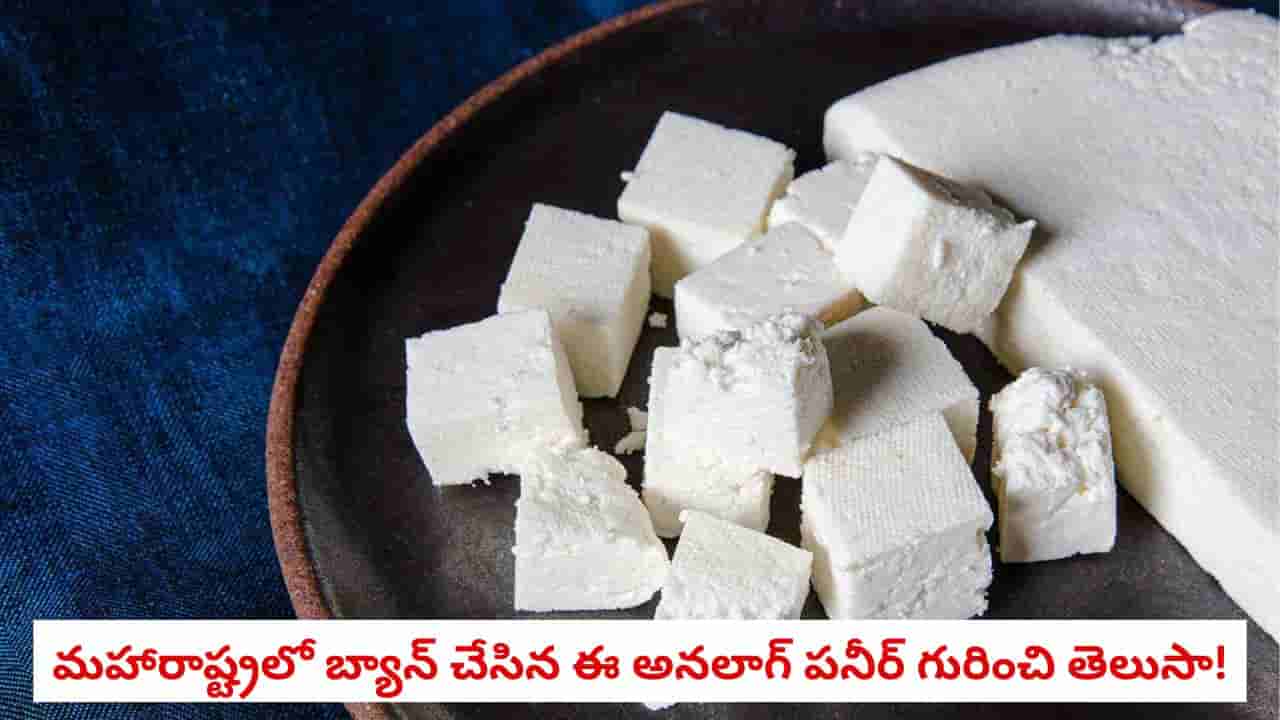 Analogue Paneer: పనీర్ పేరుతో ఇదేం కొత్త మోసం?.. అసలు అనలాగ్ పనీర్ అంటే ఏంటి?
