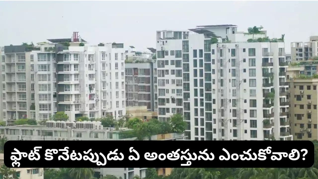 Vastu Tips: ఫ్లాట్ కొనాలనుకుంటున్నారా? వాస్తు ప్రకారం ఏ అంతస్తు శుభప్రదమో తెలుసా?